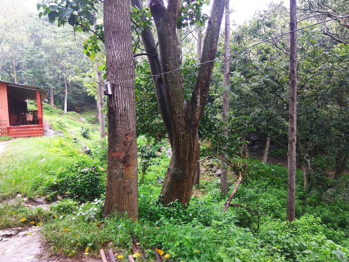 Secret Valley Jungle Resort Ooty Exterior foto